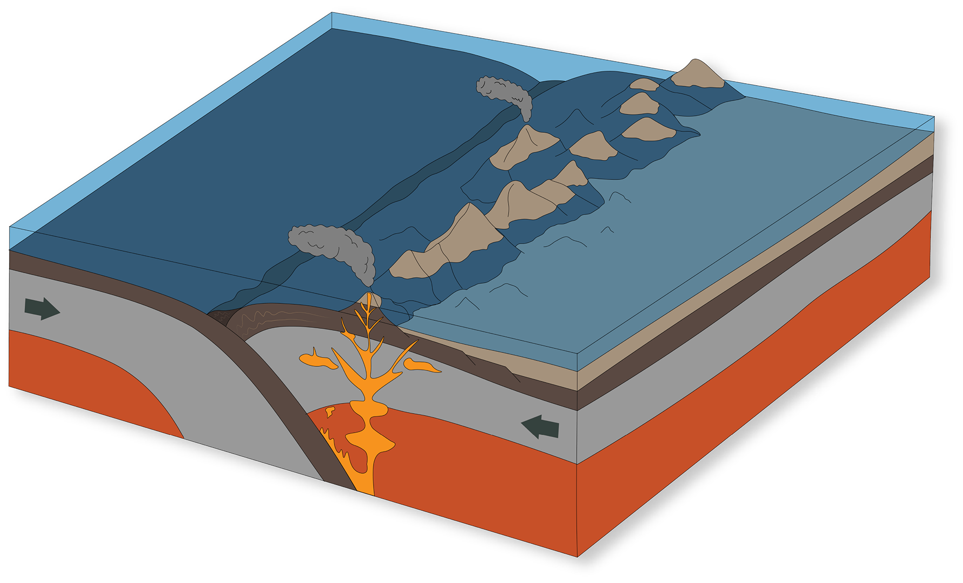 Vectorial