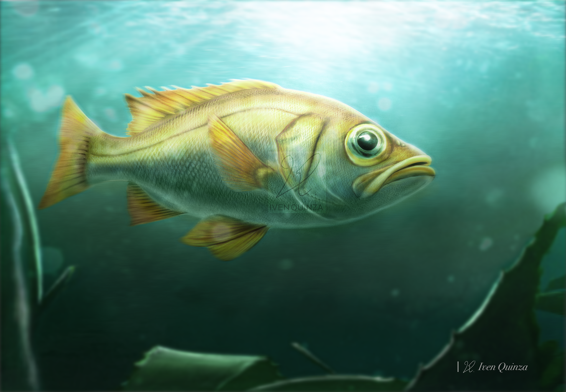 Painted in Procreate