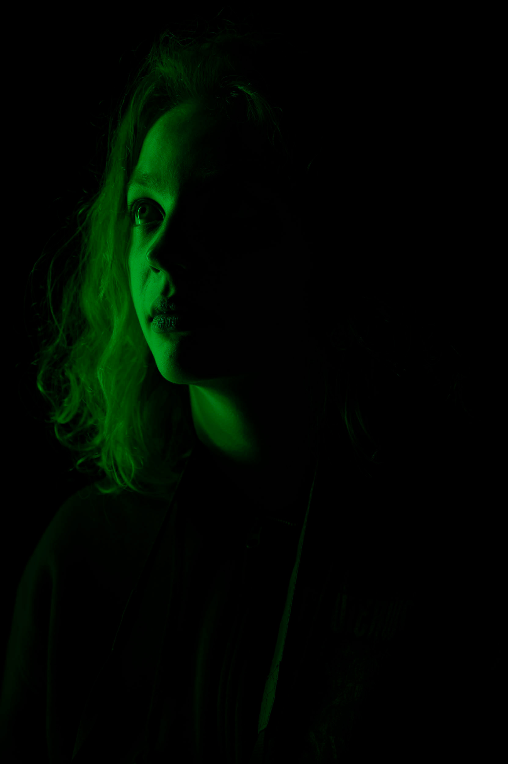 Vilde Prestegarden Vatne