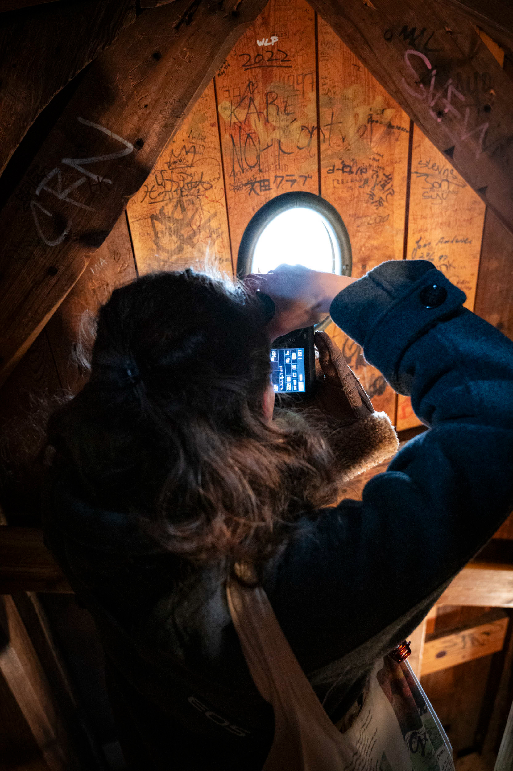 Tyri Wold Tømmerdal