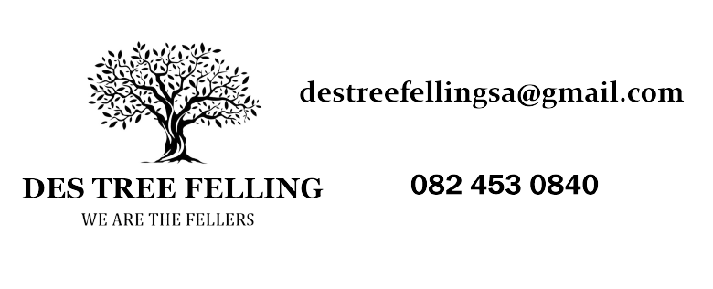 Des Tree Felling 