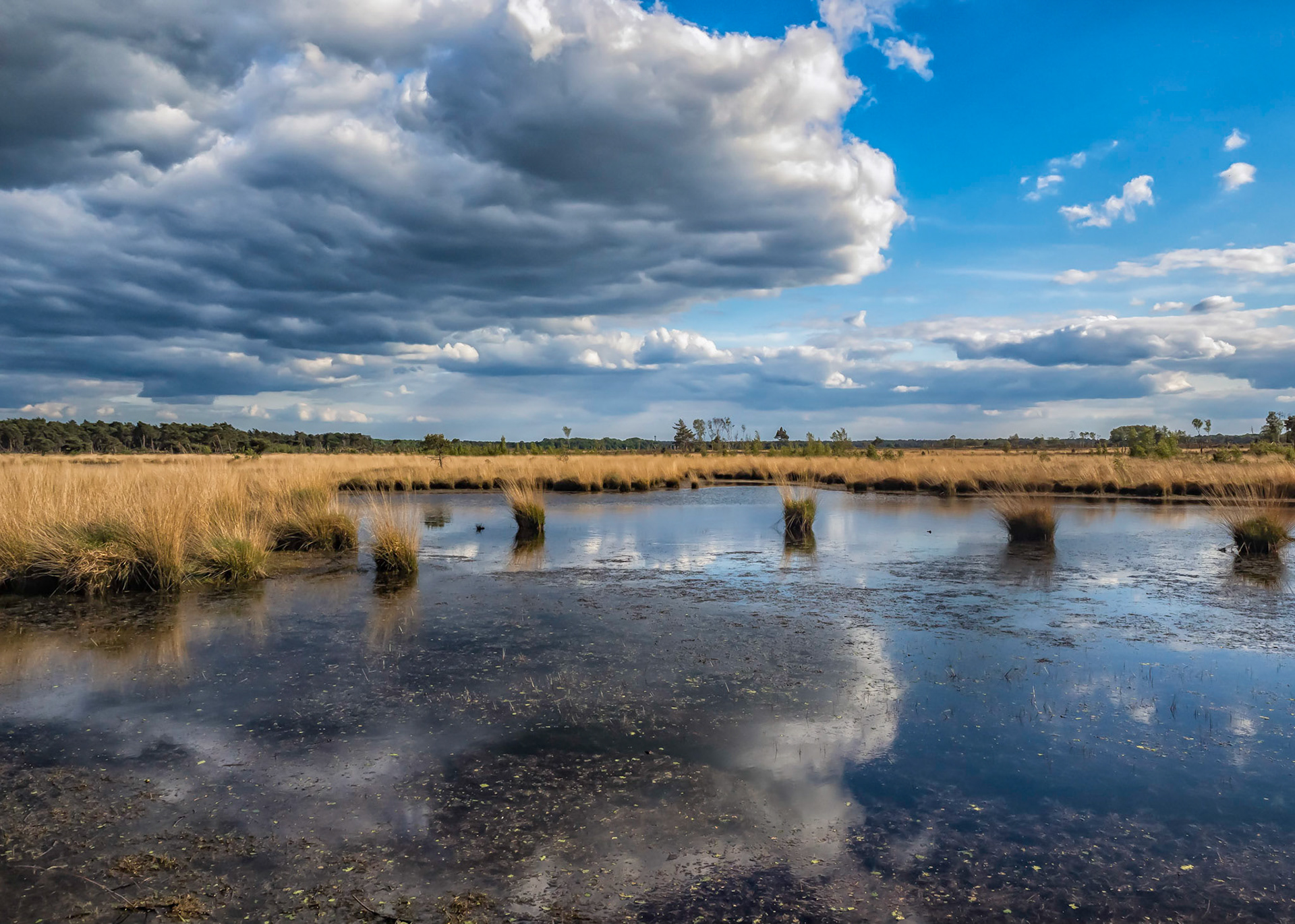 Wolkenlucht en reflectie aan het Pluisven - Grenspark kalmthoutse heide