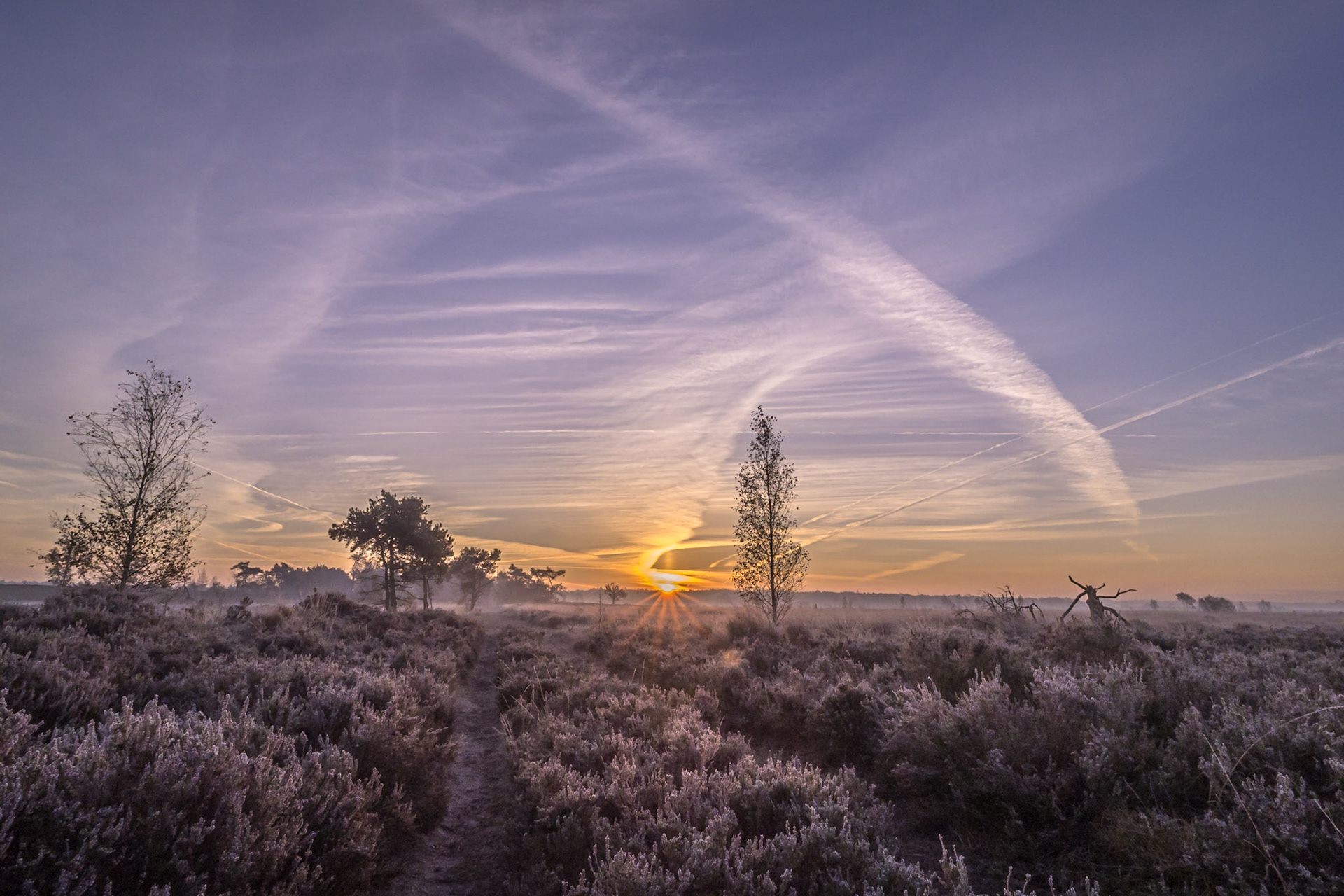 Zonsopgang, Pad langs drielingven, 06-11-2020, Kalmthout, Belgie
