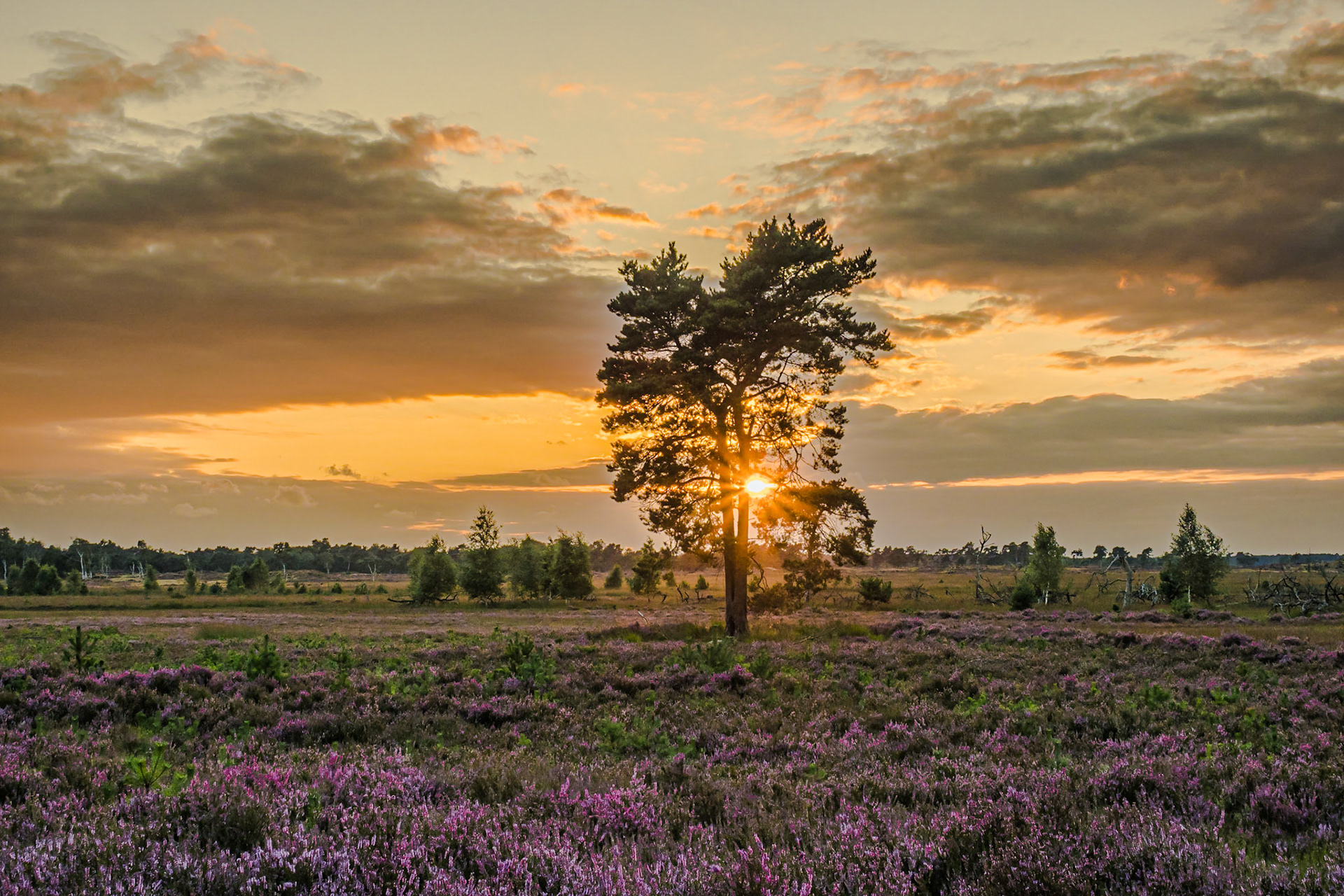 Zonsondergang, Mark's paadje, 28-08-2021, Kalmthout, België