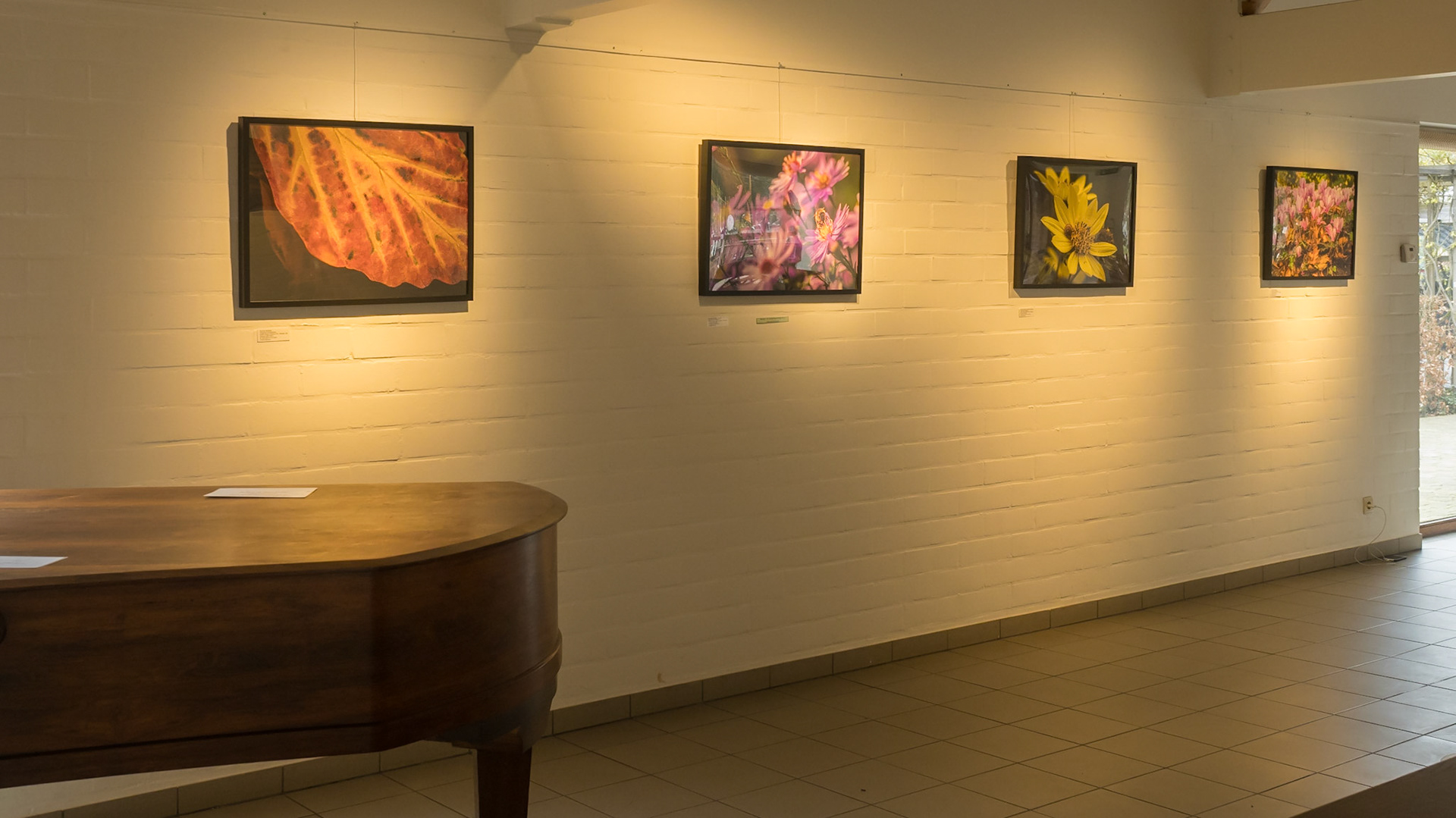 Nog een ander zicht - atelier arboretum