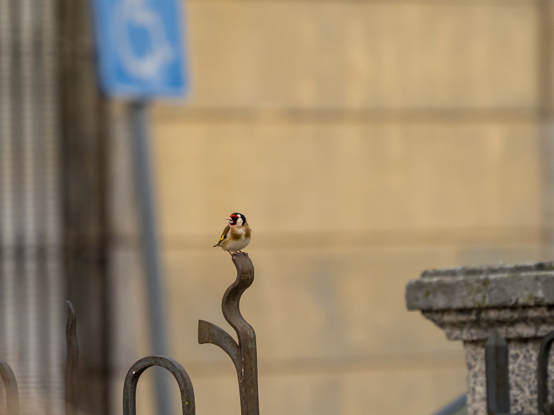 Putter aan het dorpsplein