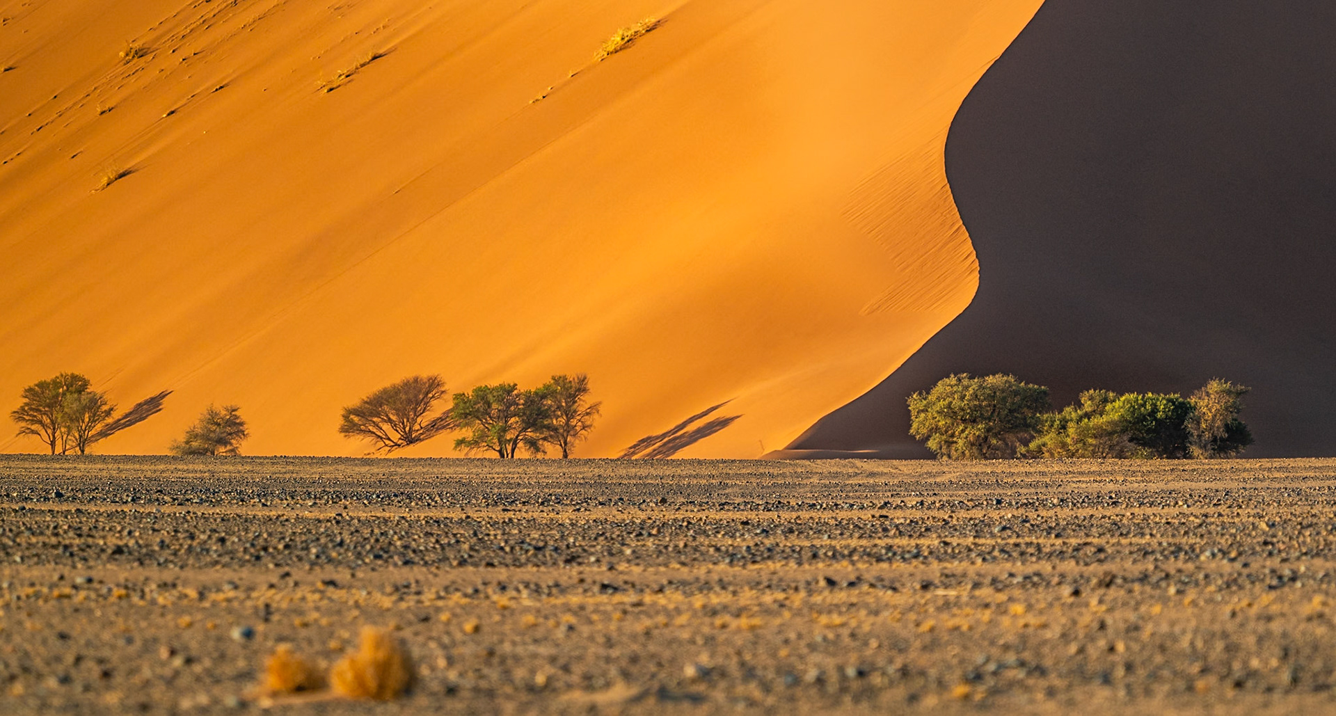 Namib-Naukluft N.P. met ochtendlicht