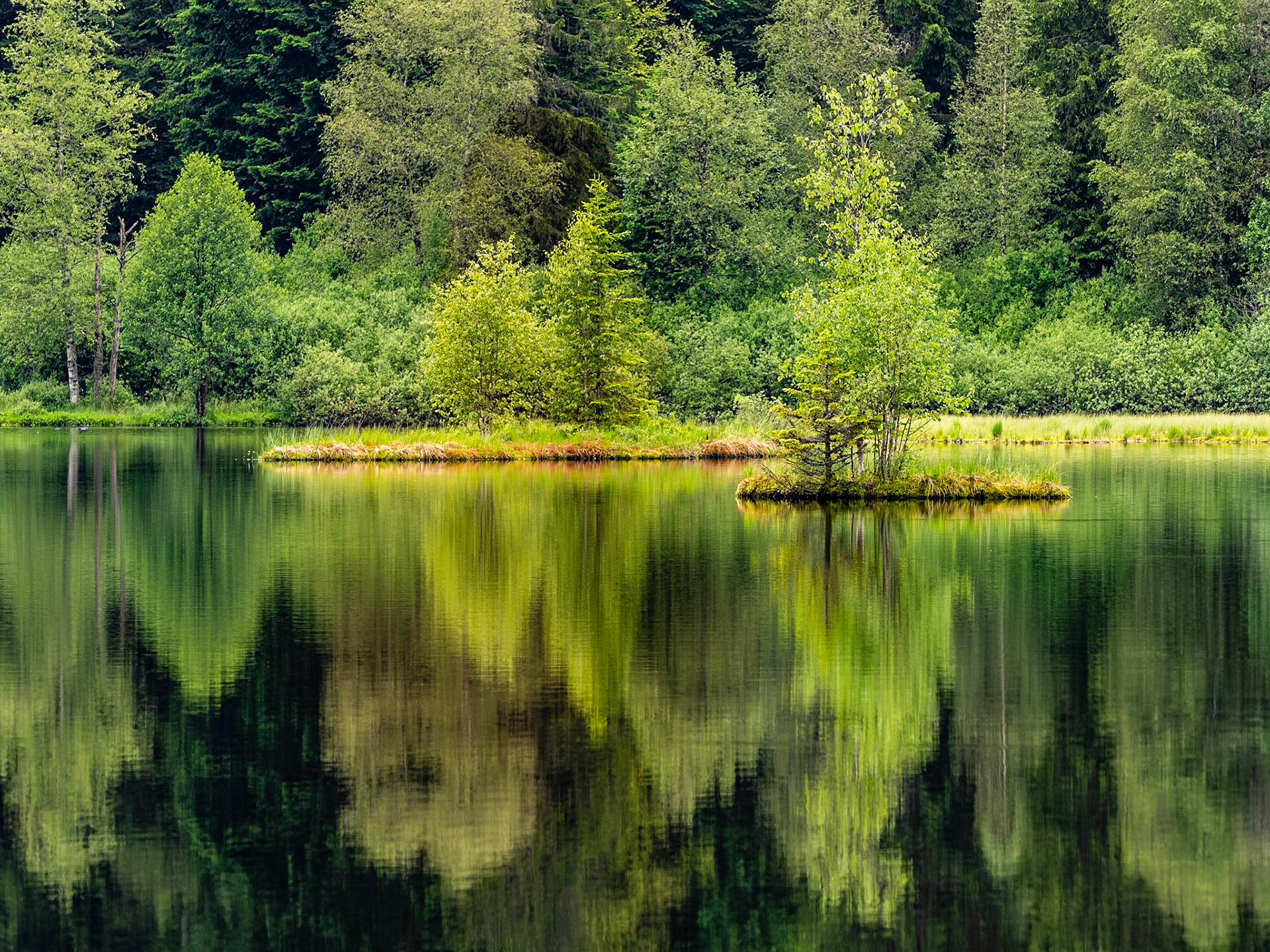 Lac de Lispach, Frankrijk