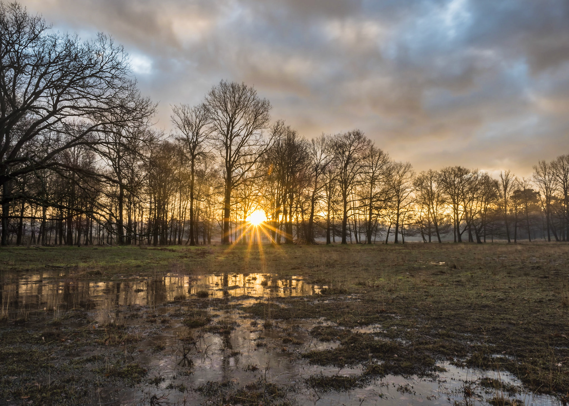 Zonsopgang tussen de bomenrij - Kortenhoef NL - Grenspark kalmthoutse heide
