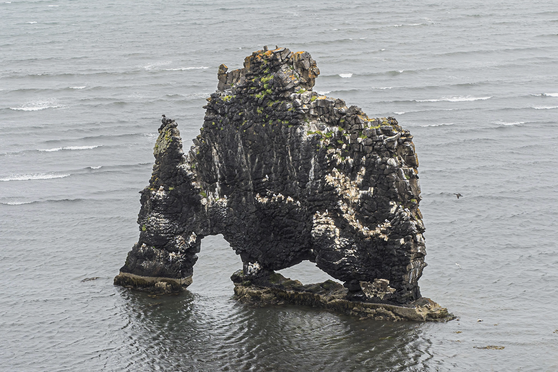 Hvitserkur
