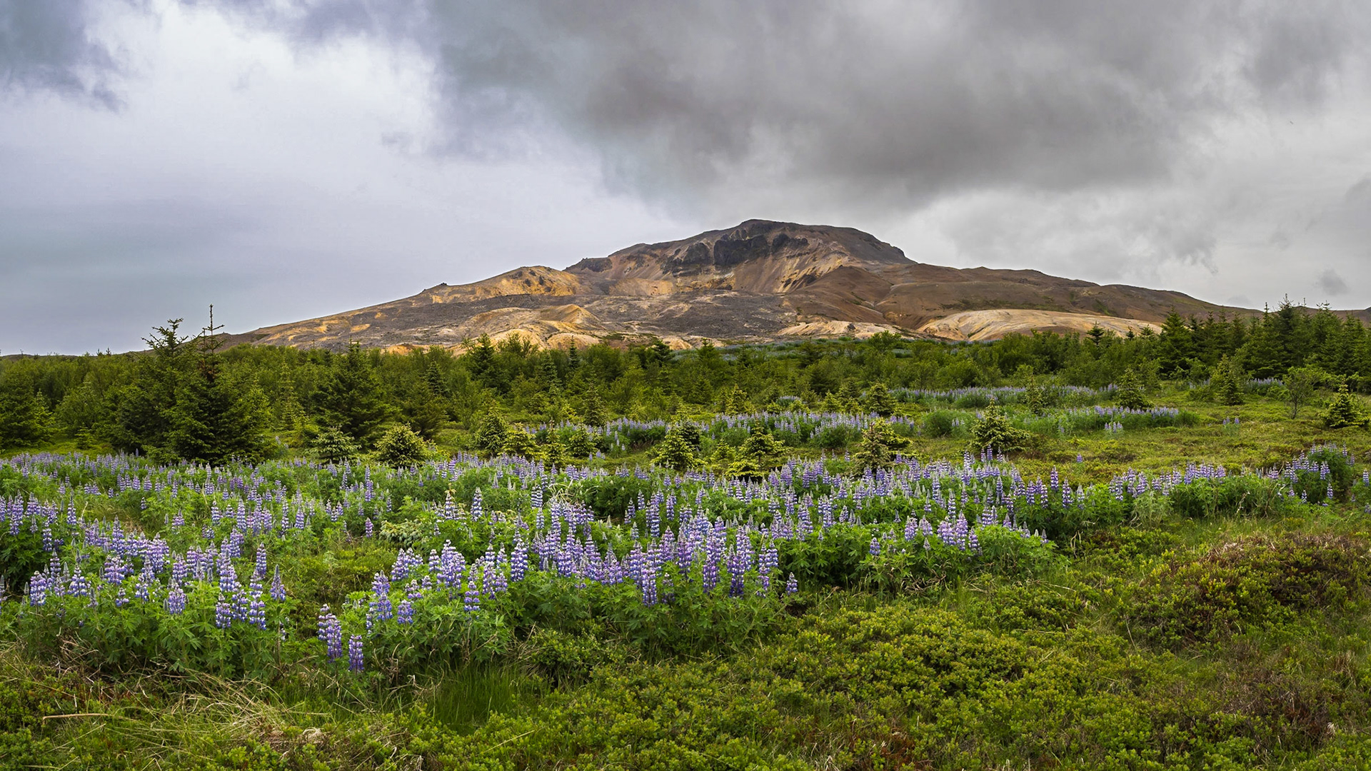 Between Kirkjufell and Holmavik
