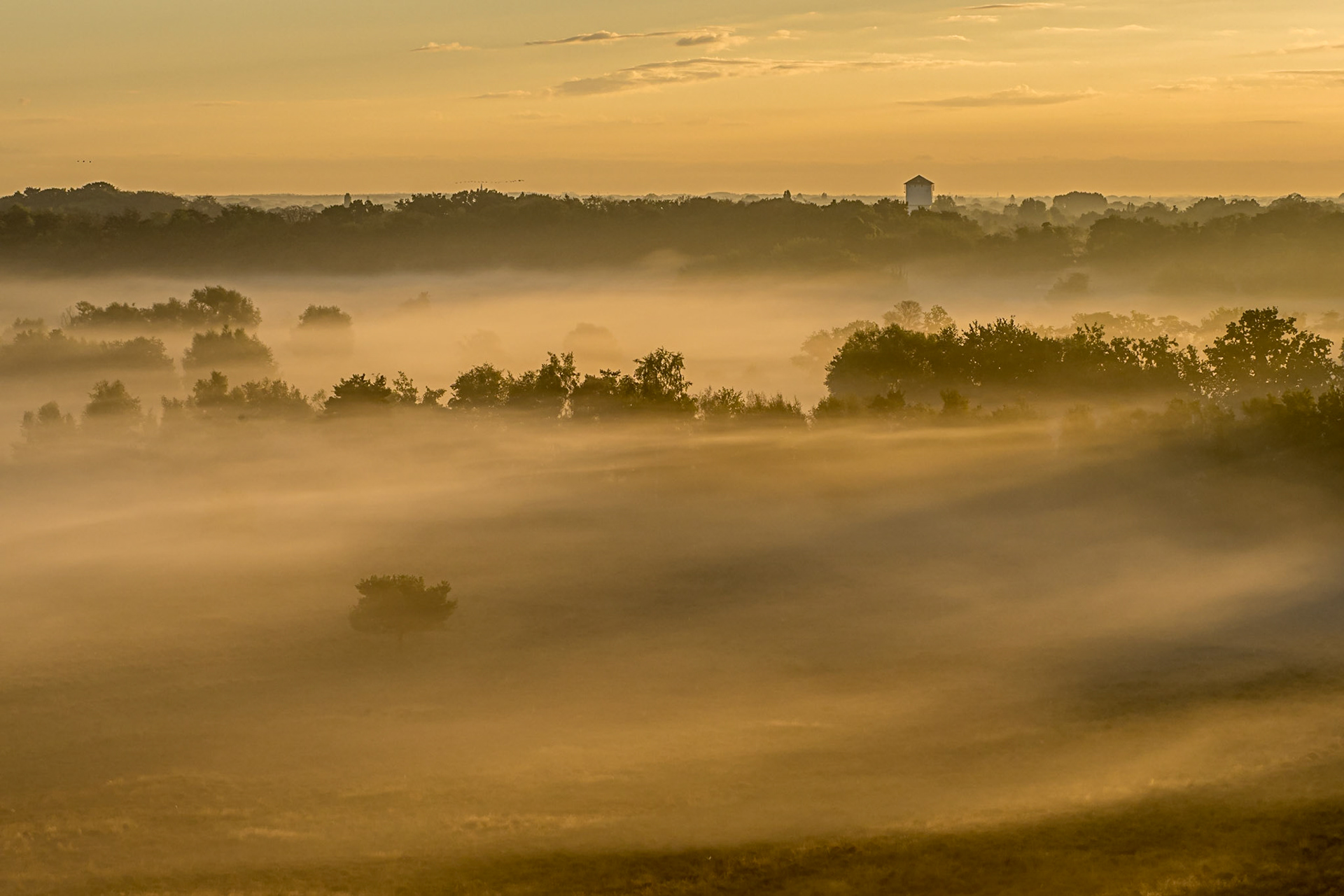 Zonsopgang vanaf de brandtoren, 27-08-2022, Kalmthout, België