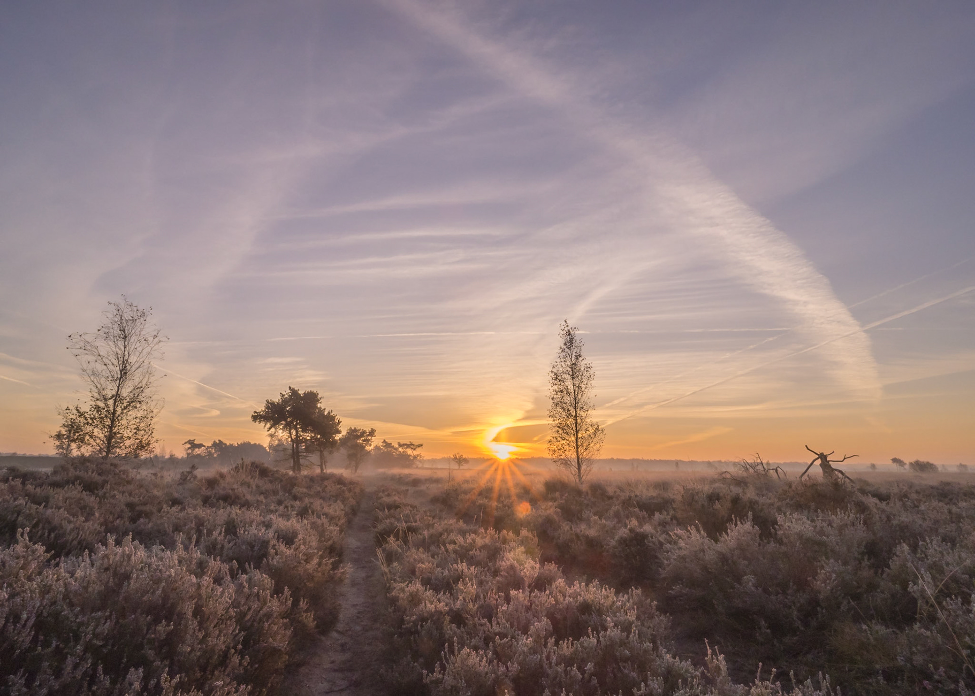 Zonsopgang op een bevroren ochtend - Grenspark kalmthoutse heide
