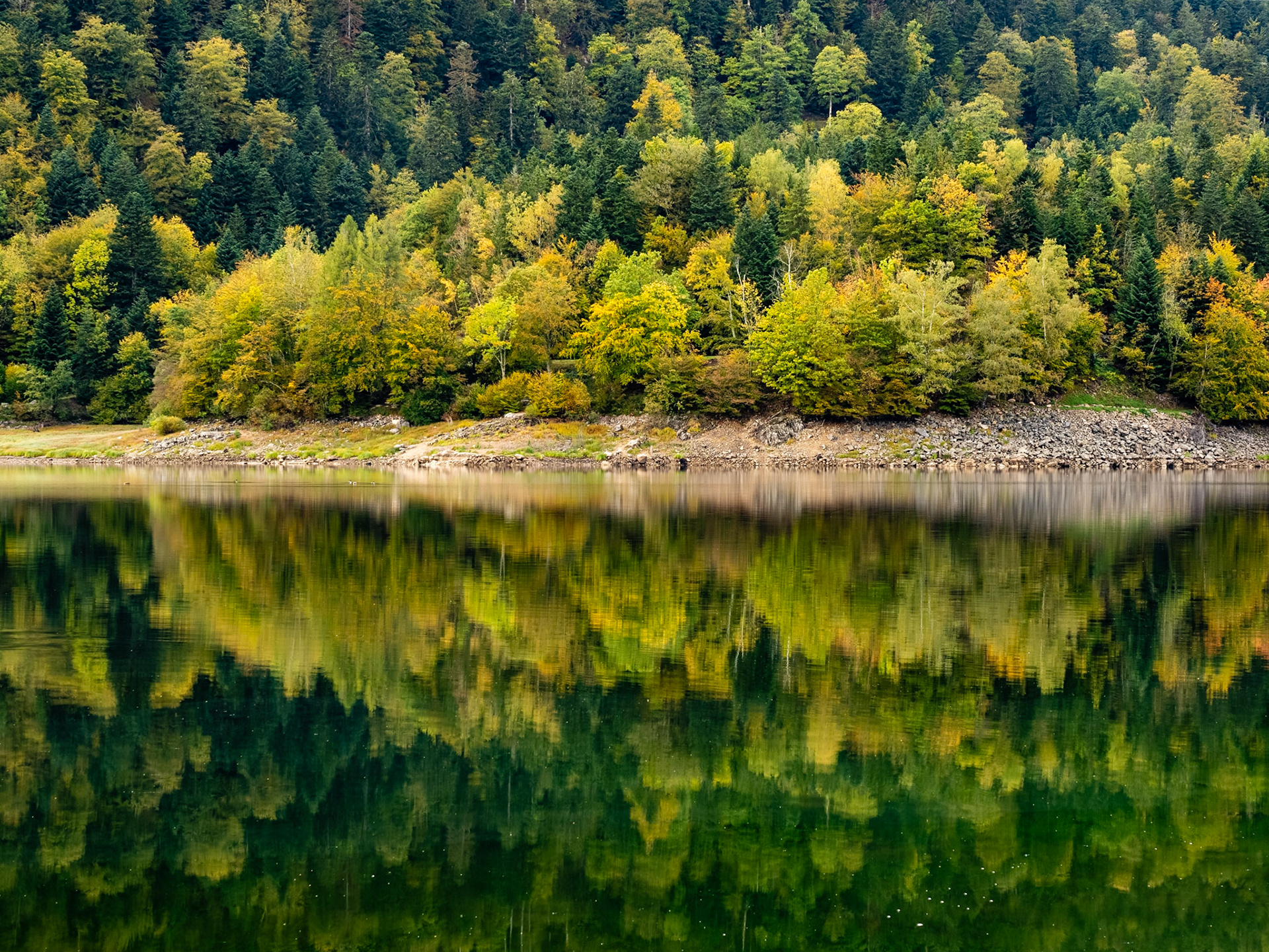Lac de Kruth - Wildenstein
