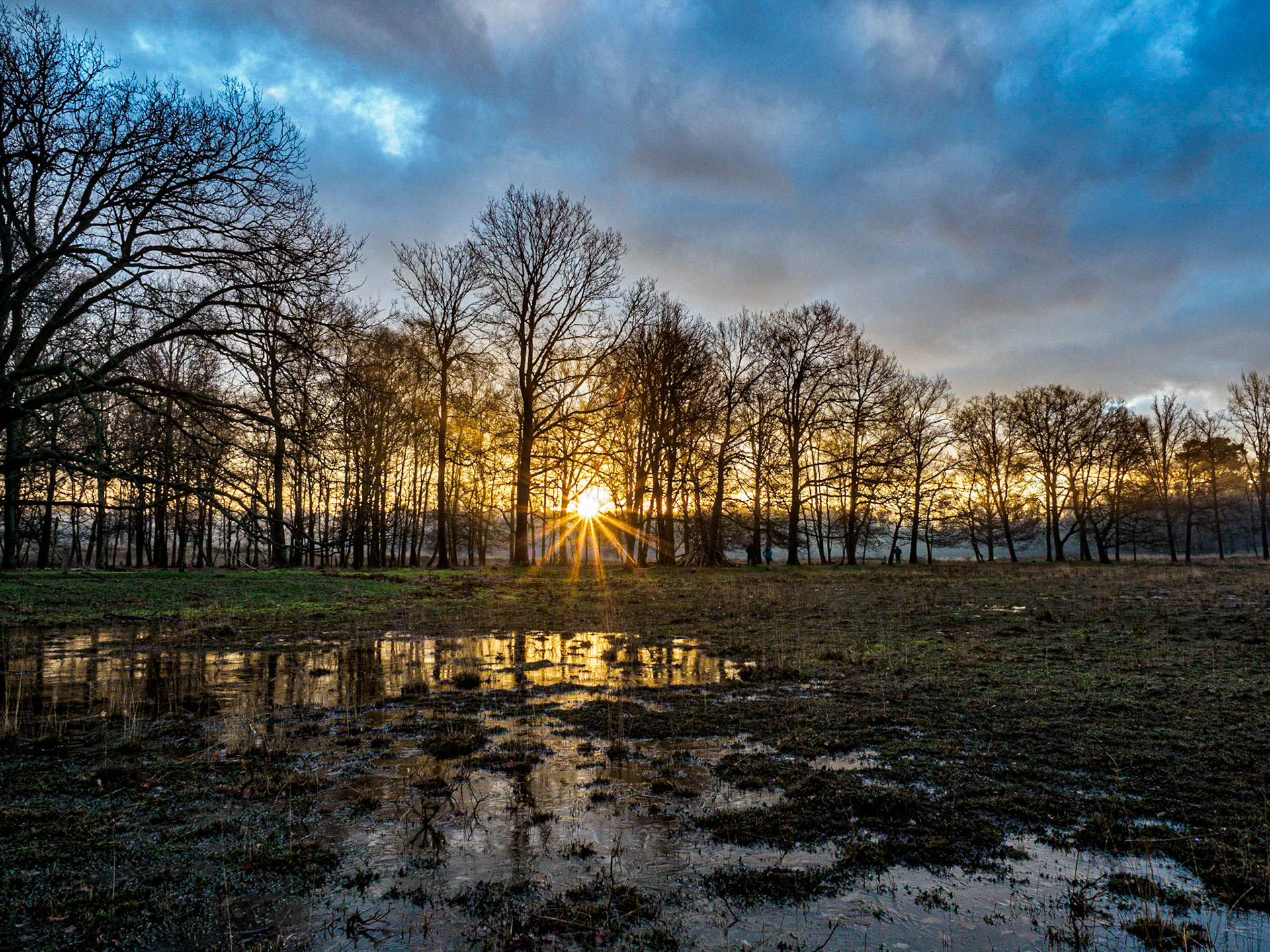 Zonsopgang, Kortenhoef, 10-01-2021, Hoogerheide, Nederland