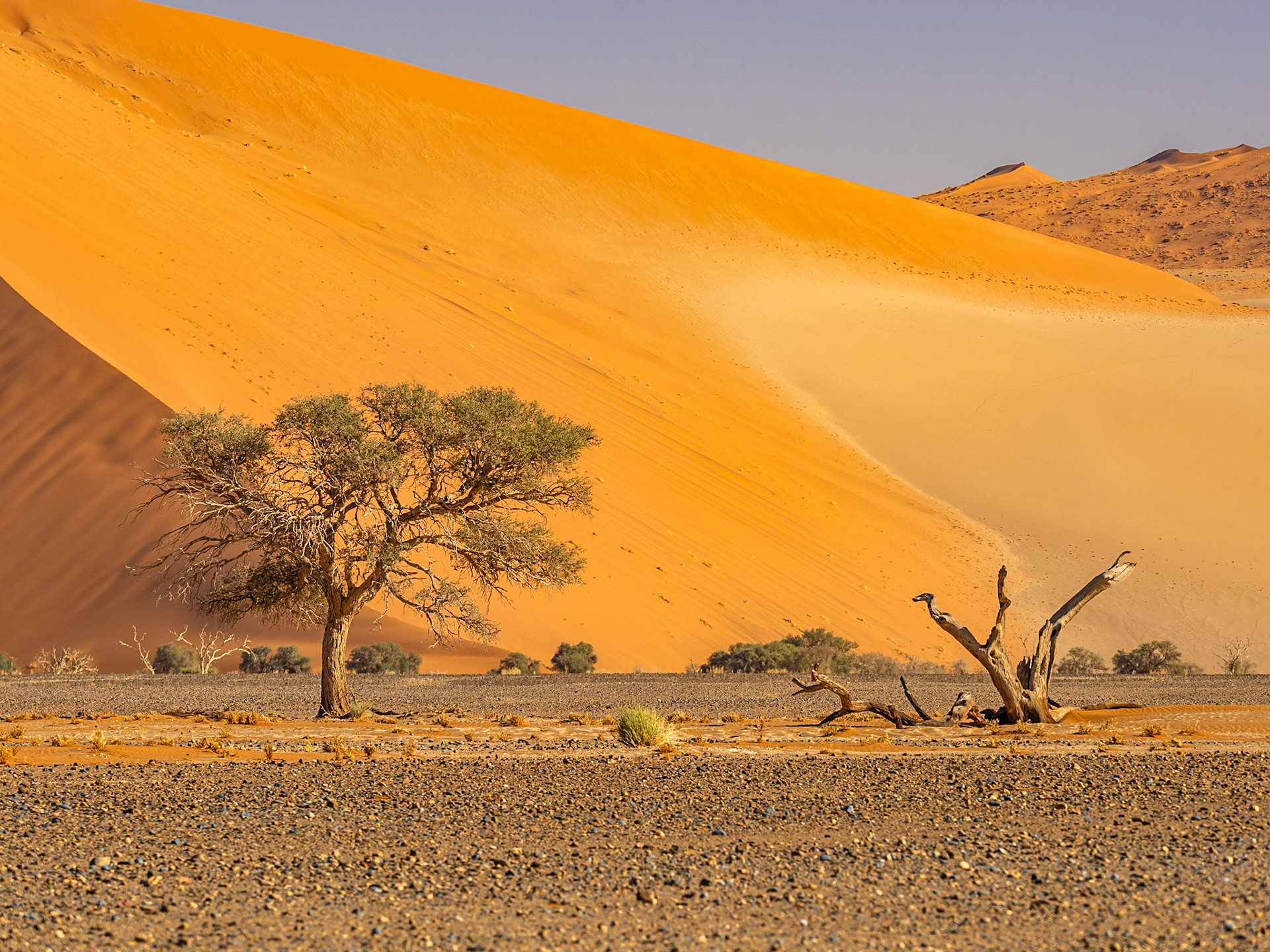 Namib-Naukluft N.P. met ochtendlicht