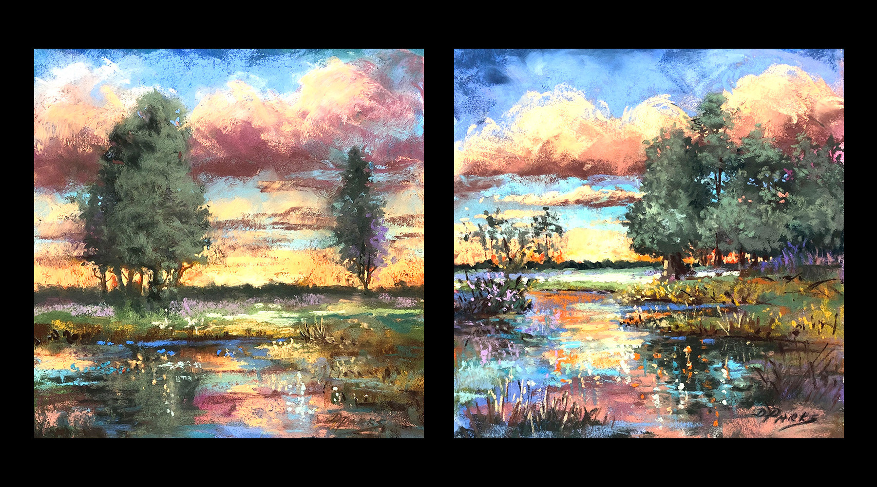 Marsh Reflected
