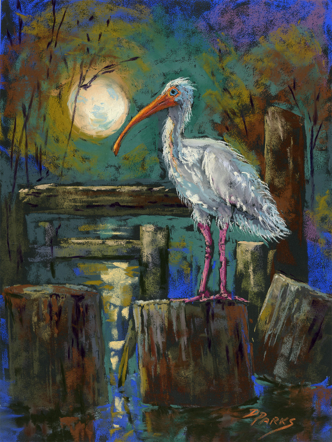 Night Vigil