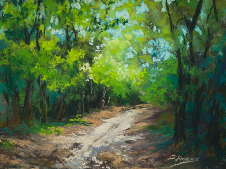 Path at Wolf River