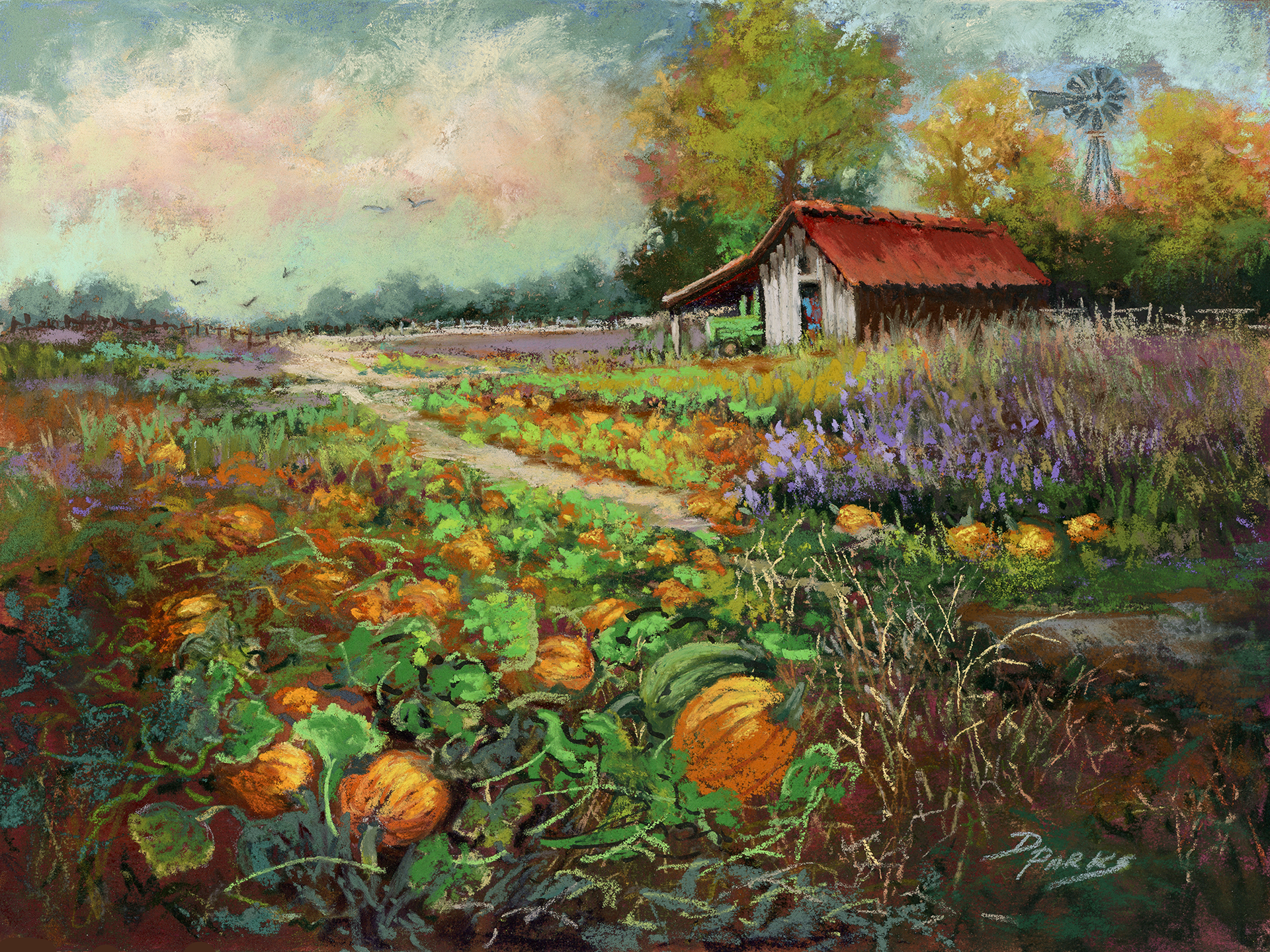 At the Pumpkin Patch