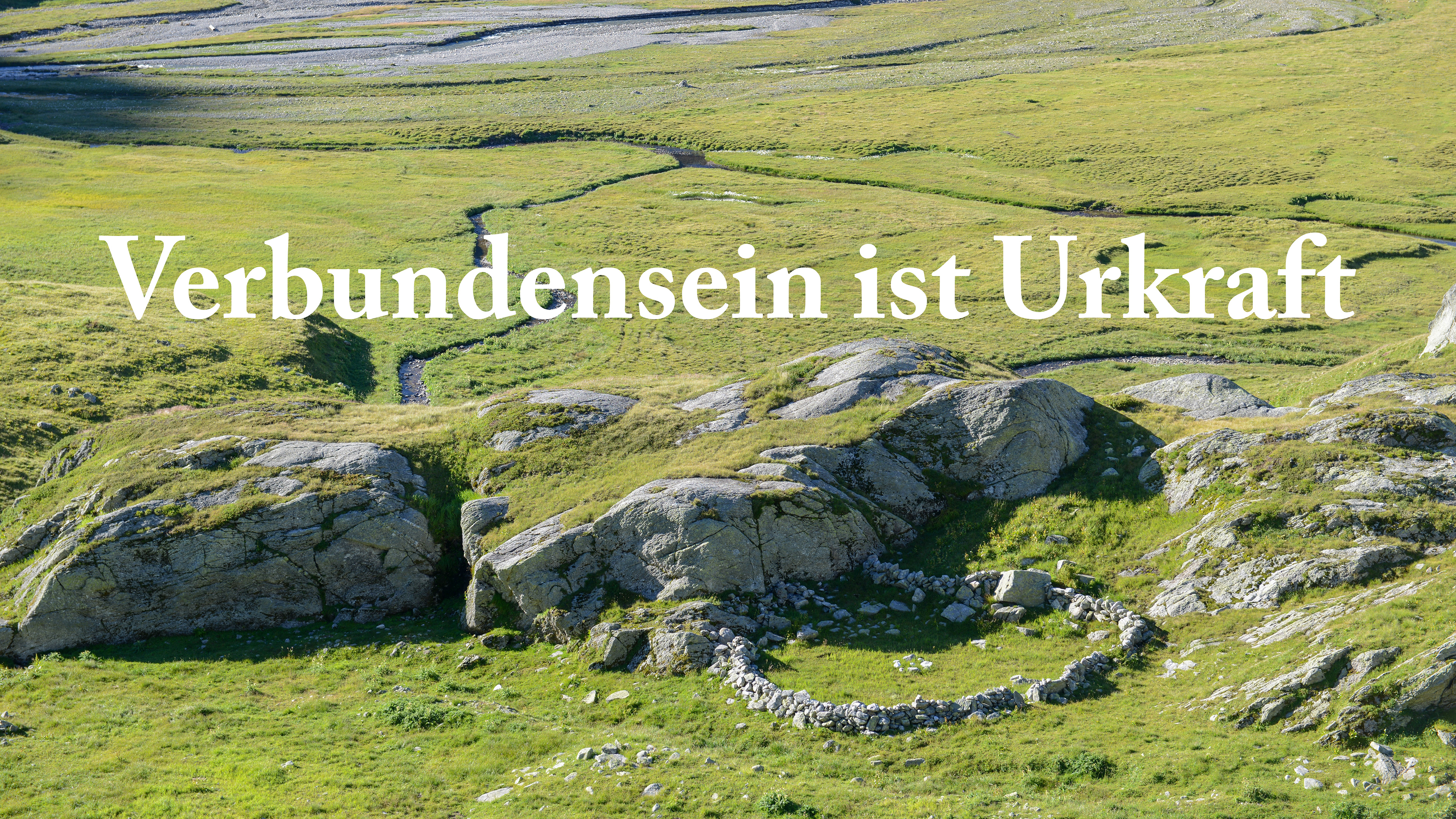 Verbundenheit ist Urkraft. Matthias Rüegg, ganzheitlich integrative Traumaarbeit