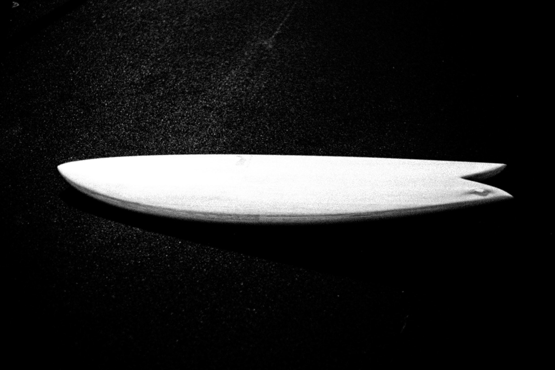 Cachalot Surfboards