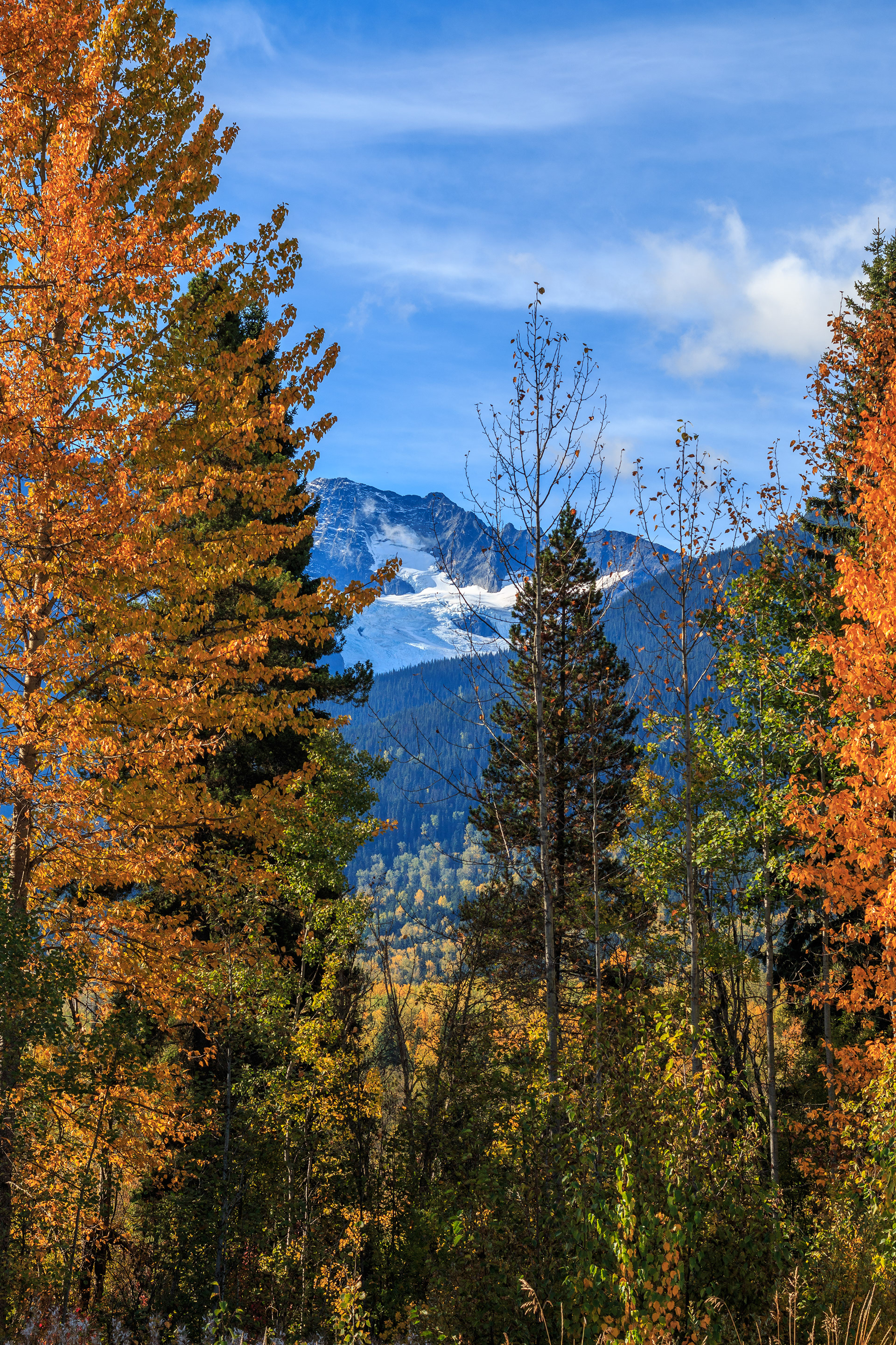 Indian Summer und Berge nahe Houston, British Columbia