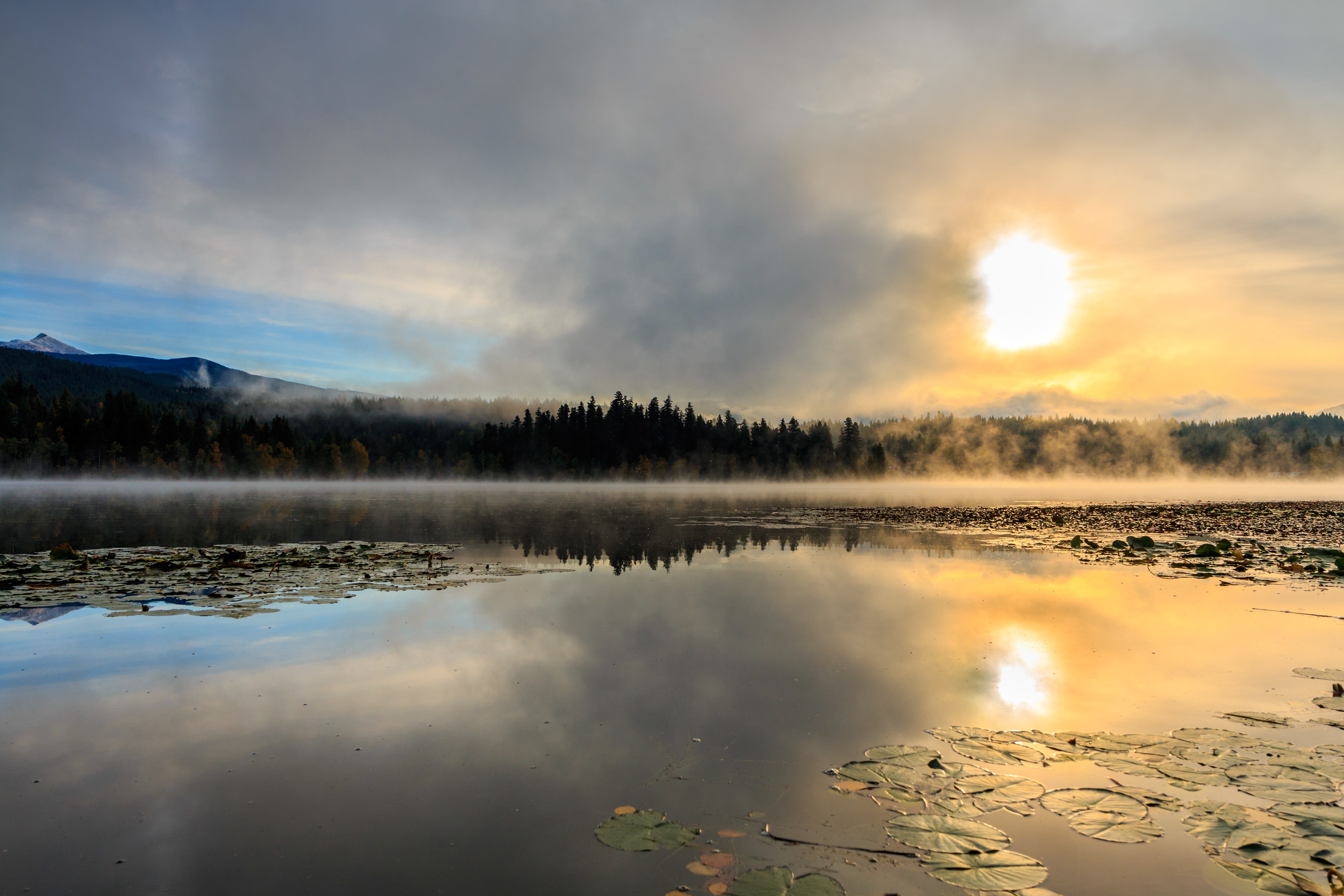 Dutch Lake in Clearwater