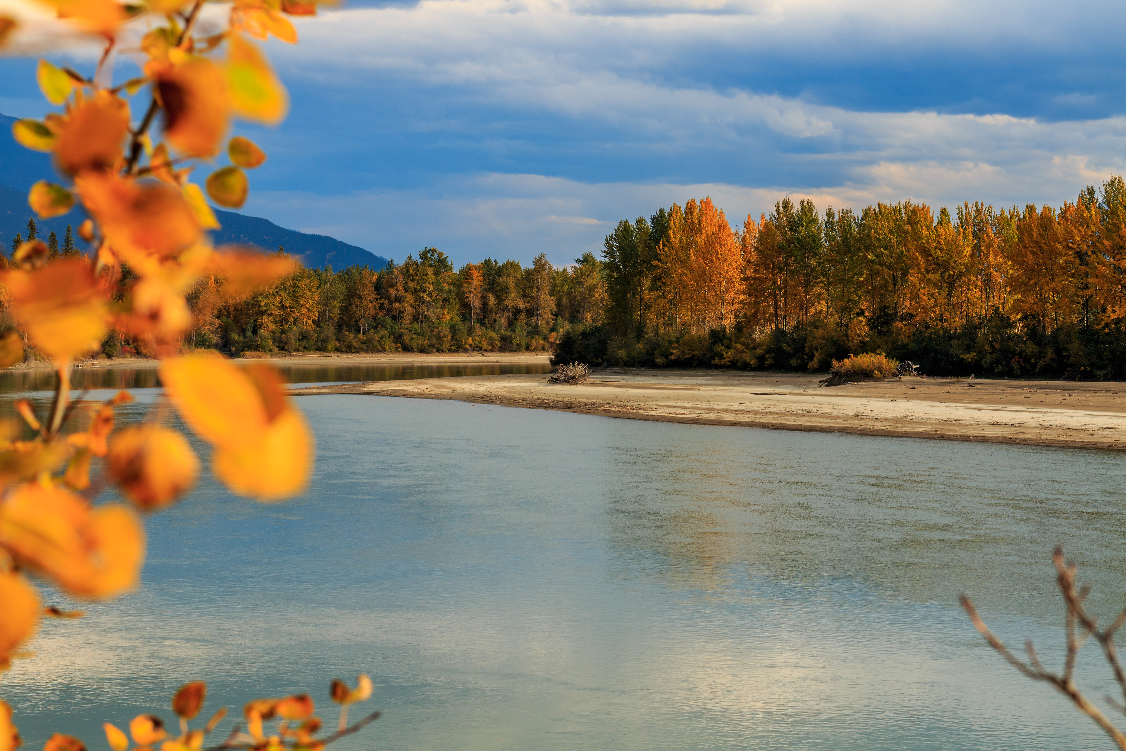 Fraser River beim Beaverview RV Park & Campground,  McBride