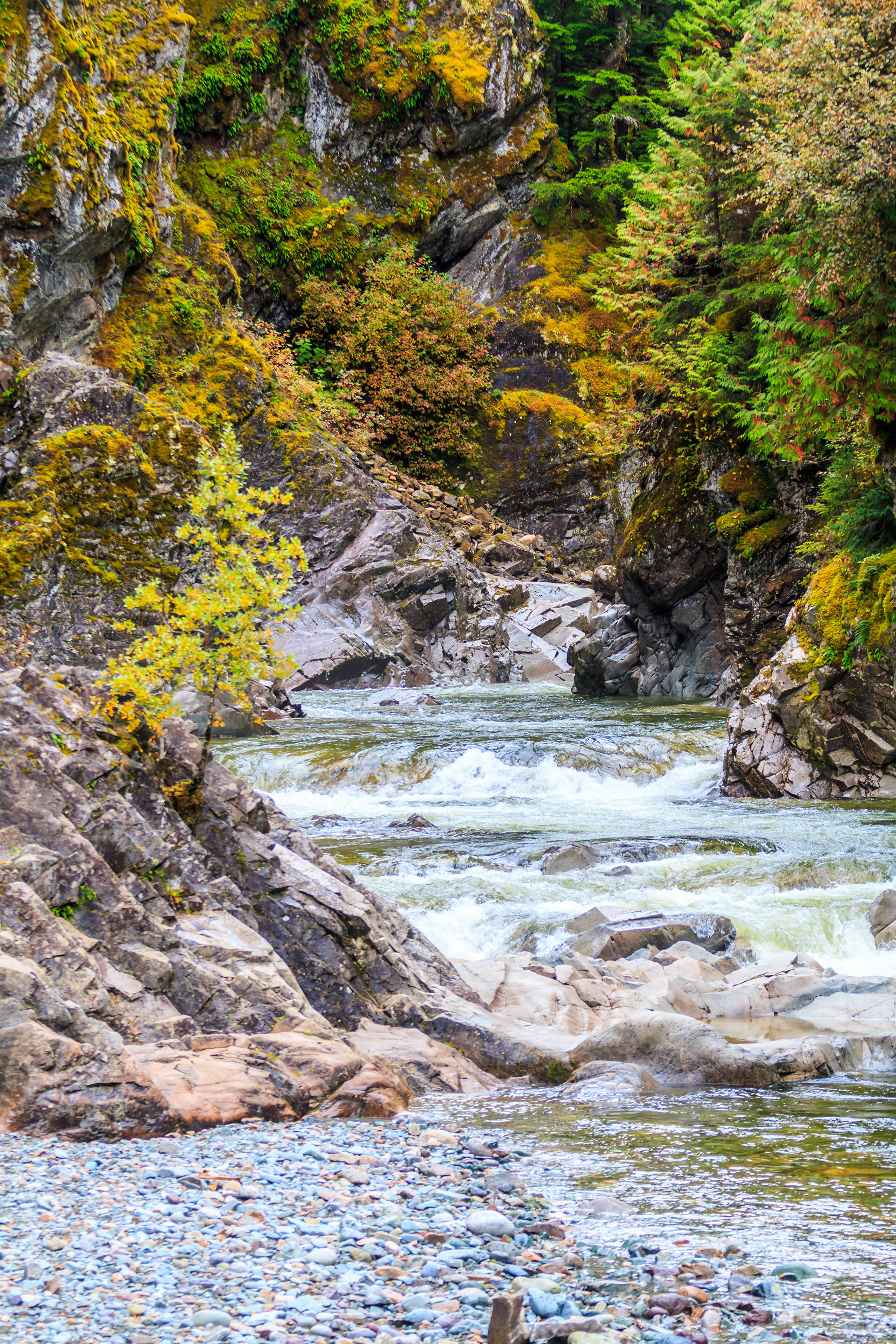 Kleanza Creek Provincial Park bei Terrace