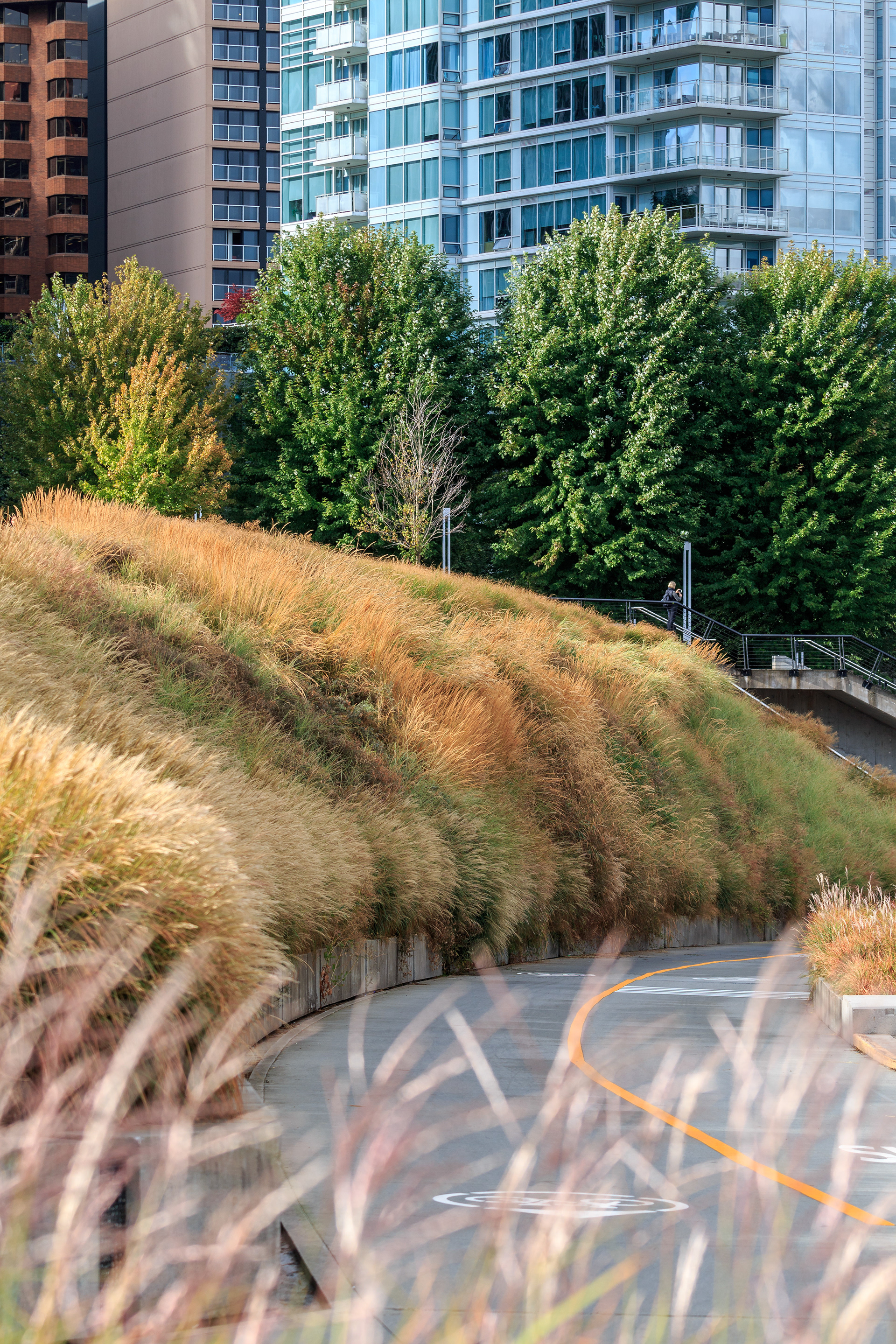 Vancouver Seawall Water Walk