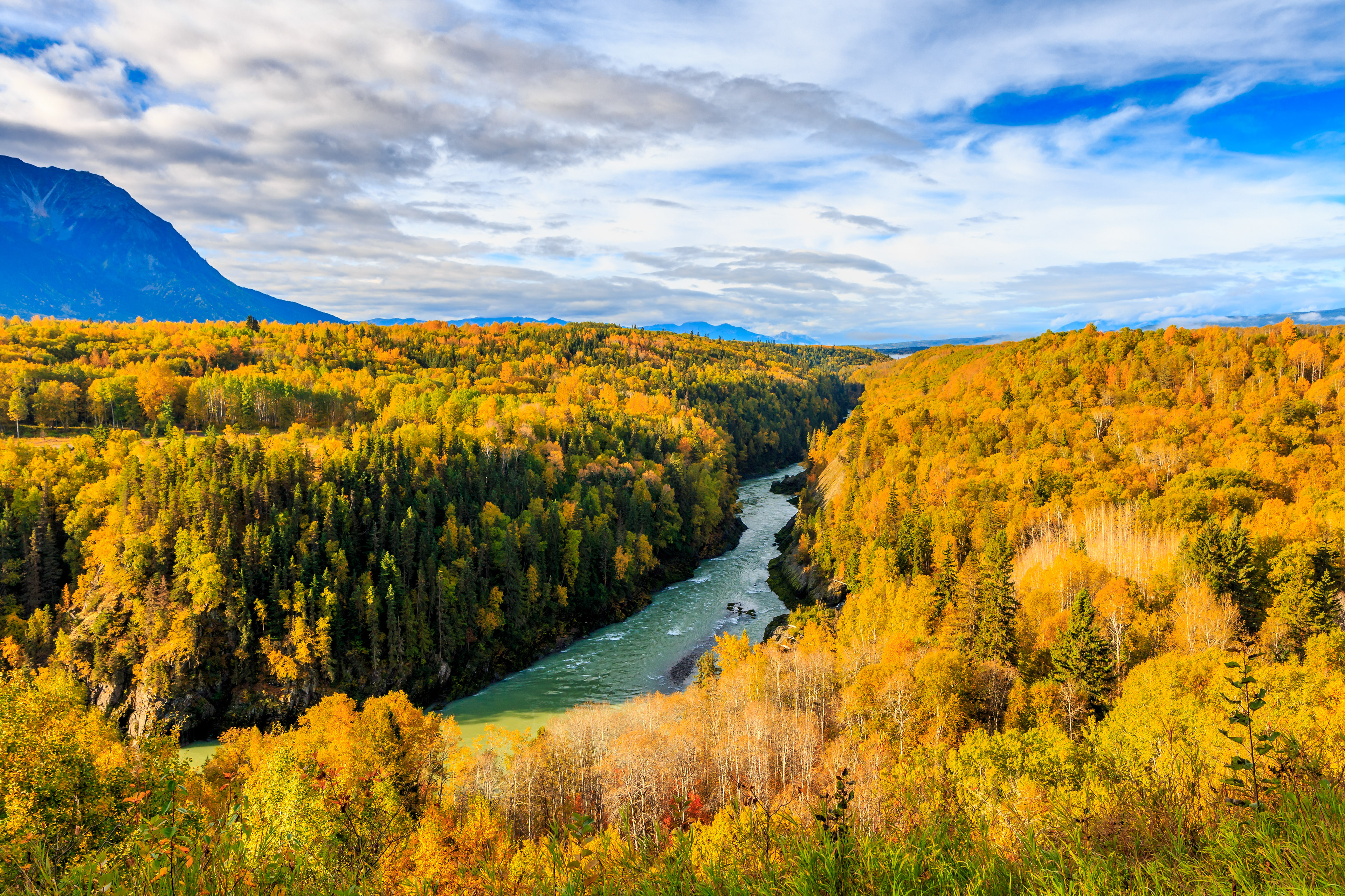 Indian Summer bei der Hagwilget Canyon Bridge, New Hazelton