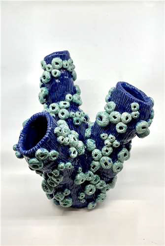 Emily Frazier, Orange High School, Grade 12, Barnacles, Ceramics & Glass, Educator: Colleen Angel, Silver Key