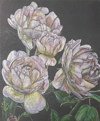 Ashley Spreen, Westlake High School, Grade 10, Peonies, Drawing & Illustration, Educator: Kelly Atkinson, Honorable Mention