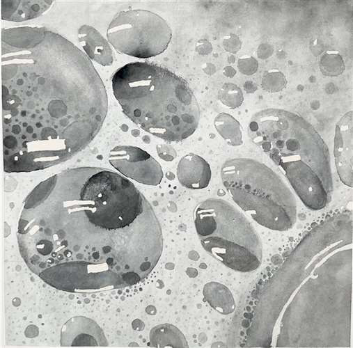 Meredith Havre, Laurel School, Grade 10, Soap Bubbles, Painting, Educator: Darius Steward, Honorable Mention