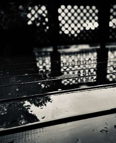 Shashini Mohan, Brecksville Broadview Hts High School, Grade 9, A Rainy Sunday Morning, Photography, Educator: Mary Shaffer, Honorable Mention