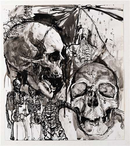 Andy Oh,Andrews Osborne Academy,12th,Anatomic Research,Drawing & Illustration,Jessie Barbarich, Gold Key