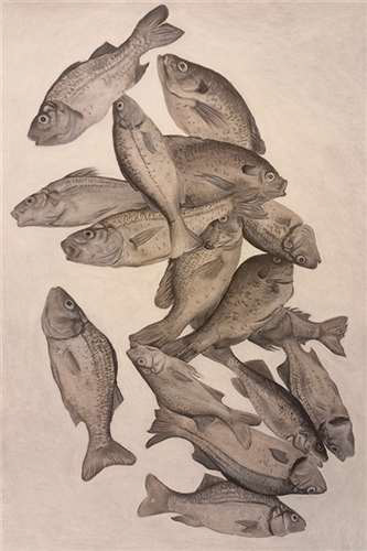 Lindsey Li, Solon High School, Grade 11, Stare, Drawing & Illustration, Educator: Jennifer Thompson, Honorable Mention
