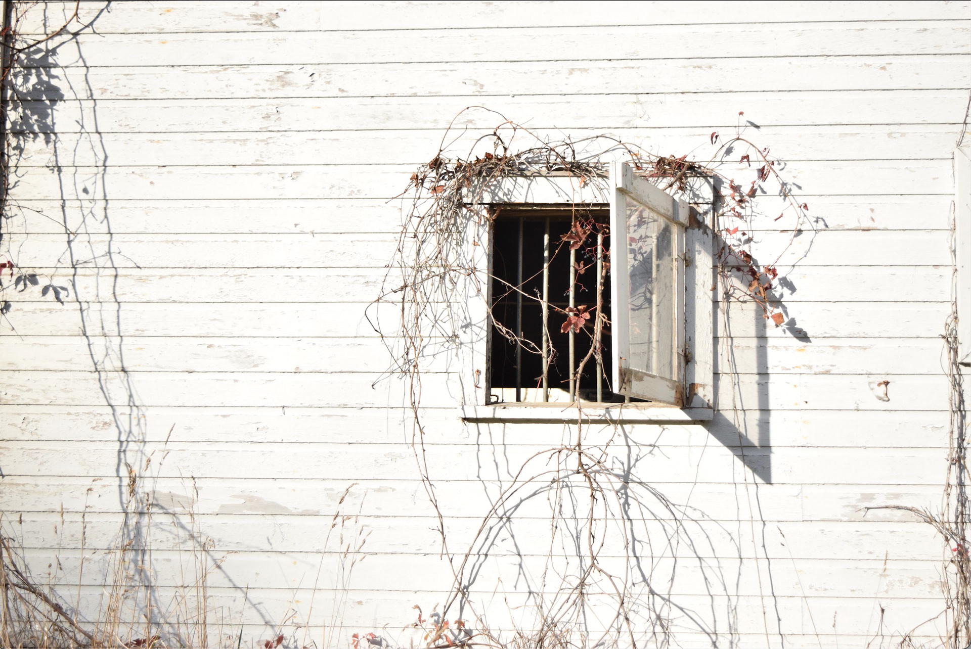 Camille Lovins,Andrews Osborne Academy,10th, Rustic, Photography,Jessie Barbarich, Gold Key