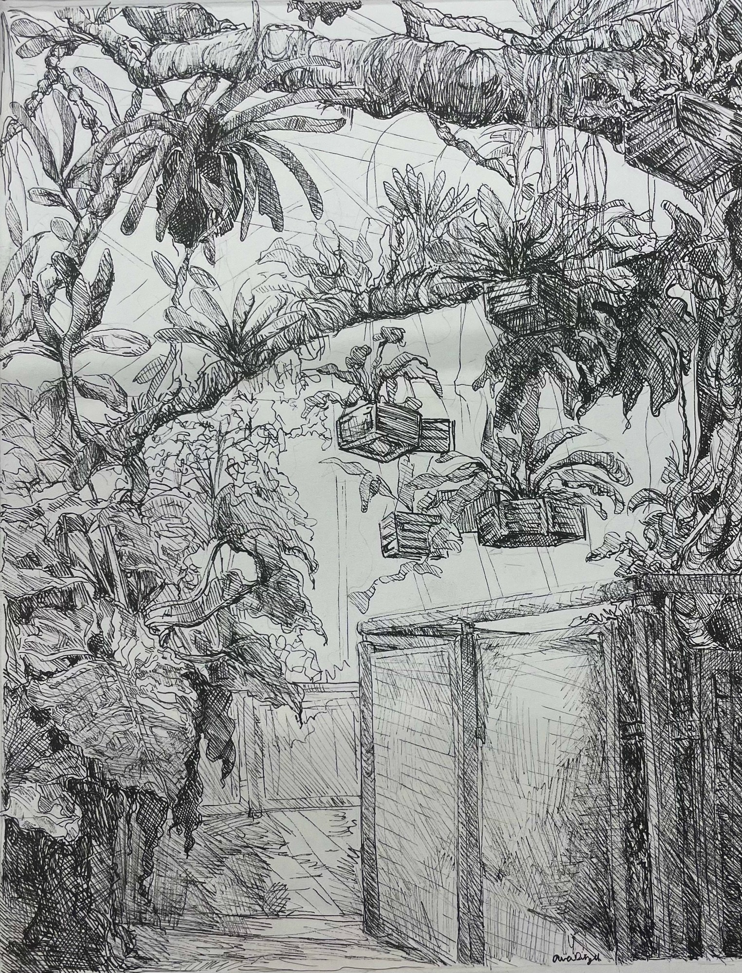 Ava Ditzel,Beaumont School,11th,Hanging Gardens,Drawing & Illustration,Kristen LoPresti,Gold Key