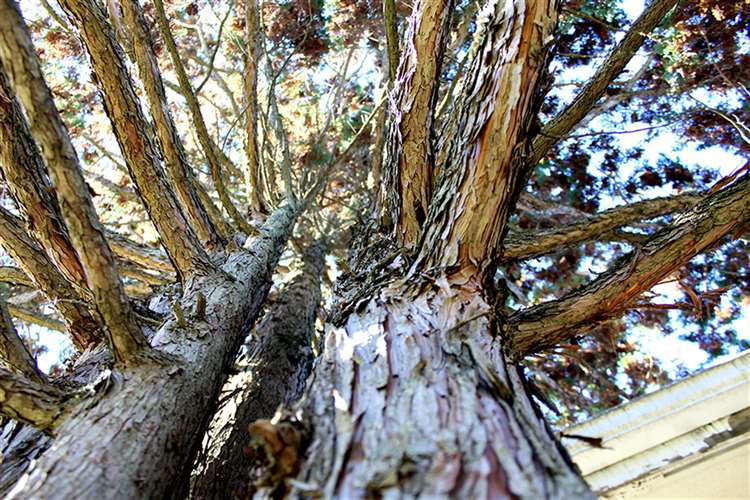 Evan Yetsky, Brecksville Broadview Hts High School, Grade 10, Worm's Eye Point of View., Photography, Educator: Mary Shaffer, Honorable Mention