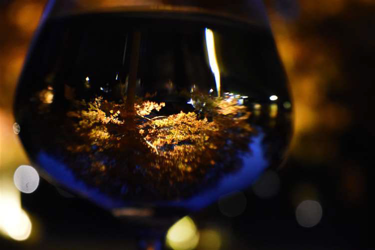 Kaitlin Marziani, Notre Dame Cathedral Latin School, Grade 12, Like Fine Wine, Photography, Educator: George Yaniga, Honorable Mention
