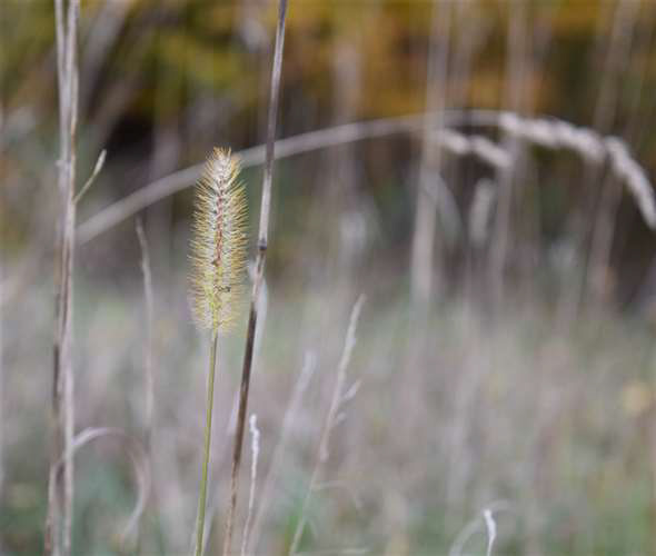 Sarah Strauss, Andrews Osborne Academy, Grade 10, Tranquility, Photography, Educator: Jessie Barbarich, Honorable Mention