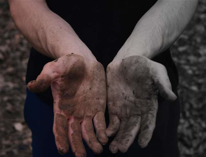 Colm Matheney, Notre Dame Cathedral Latin School, Grade 11, Earth Day, Photography, Educator: George Yaniga, Honorable Mention