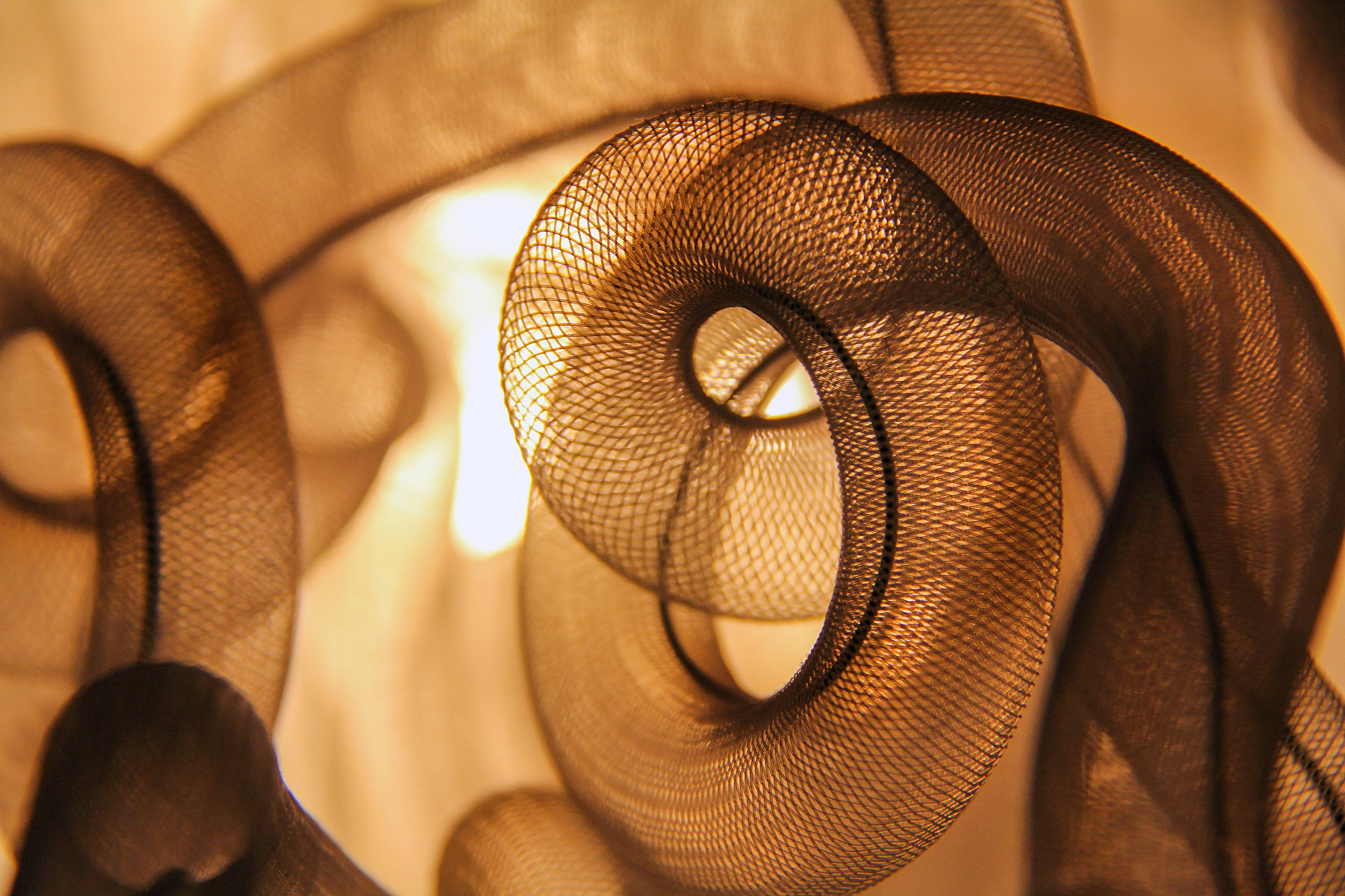 Oakleigh Niethammer, Chagrin Falls High School,12th,Abstract,Photography,Dawn Serazin, Gold Key