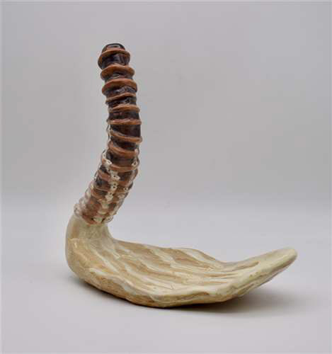 Riley Myers, Chagrin Falls High School, Grade 12, Chamomile Cure, Ceramics & Glass, Educator: Libby Harrold, Honorable Mention