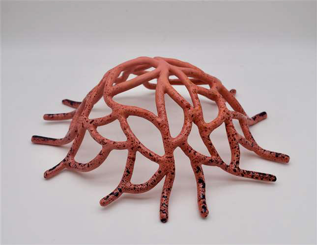 Maya Rooney, Chagrin Falls High School, Grade 12, Blood-Brain Barrier, Ceramics & Glass, Educator: Libby Harrold, Honorable Mention
