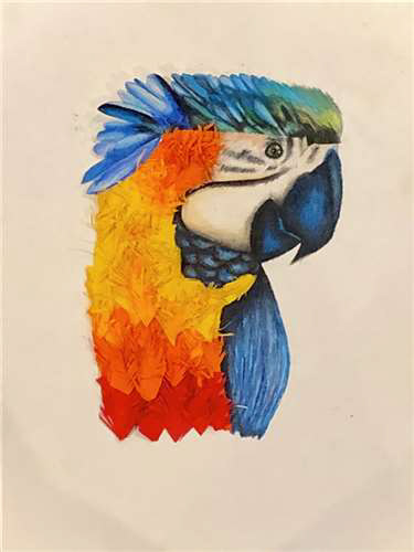 Reyna Verma,Hathaway Brown School,8th,The Pretty Parrot,Mixed Media,Melissa Nilsen,Gold Key