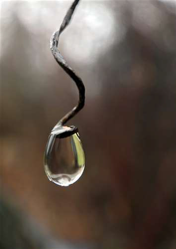 Jack Geffert, St. Ignatius High School, Grade 11, Water Drop, Photography, Educator: Jennifer Chronister, Silver Key
