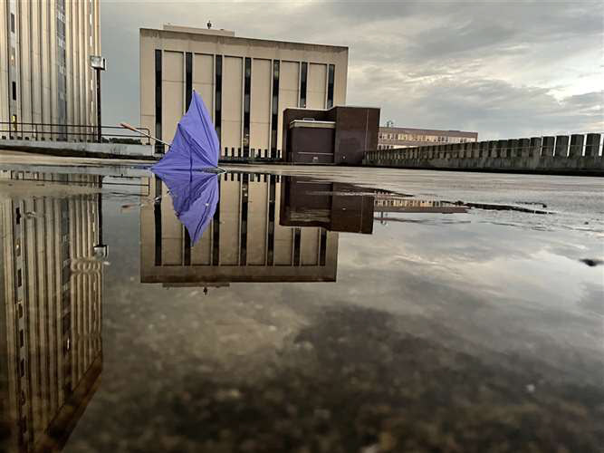Hadeal mohesen,Lakewood High School,11th, umbrella, Photography,Annie McQuay, Gold Key